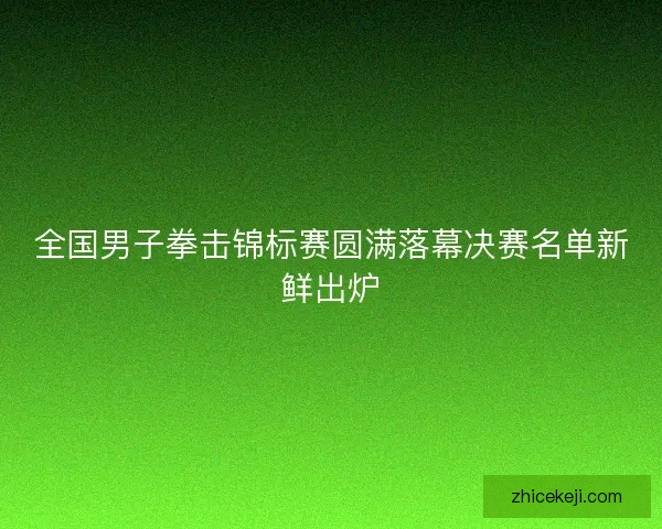 全国男子拳击锦标赛圆满落幕决赛名单新鲜出炉
